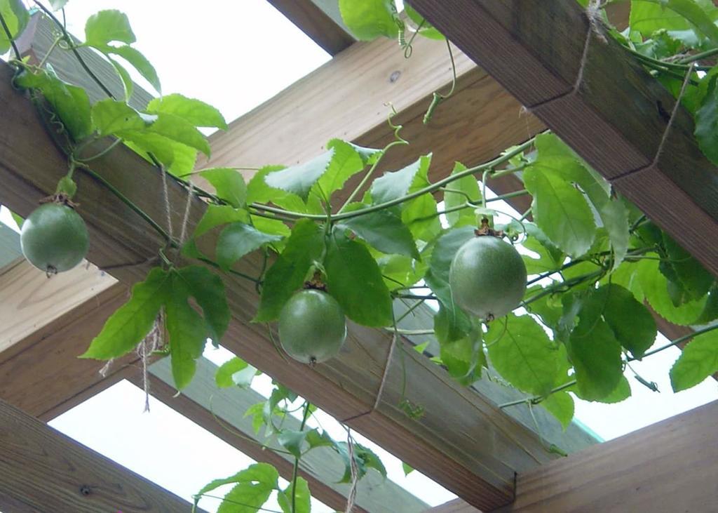 花蓮市シュイユエ ゲスト ハウスアパートメント エクステリア 写真